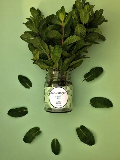 Mint Jelly 240g